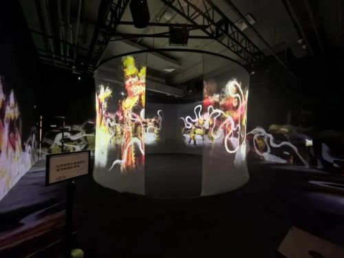 τελευταία εταιρικά νέα σχετικά με Το FLYIN projector: Αναδημιουργώντας το χρόνο και τον χώρο με φως και σκιά, ερμηνεύοντας το επικό της ζωής της "μιας ματιάς για το